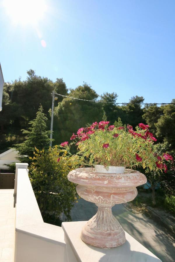 Villa Ariadne Athen Exterior foto